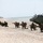 BALTOPS 12 Amphibious Landing BALTOPS 12 Amphibious Landing