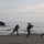 BALTOPS 12 Amphibious Landing BALTOPS 12 Amphibious Landing