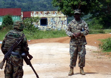Marines Assist African Forces in Combating IEDs