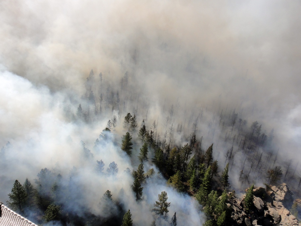 High Park fire