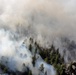High Park fire