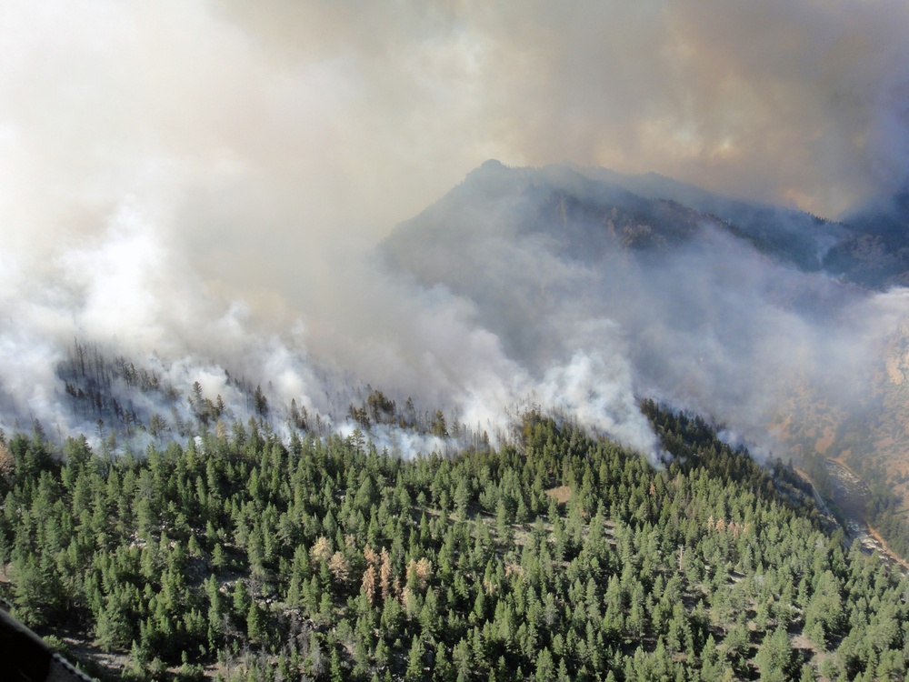 High Park fire