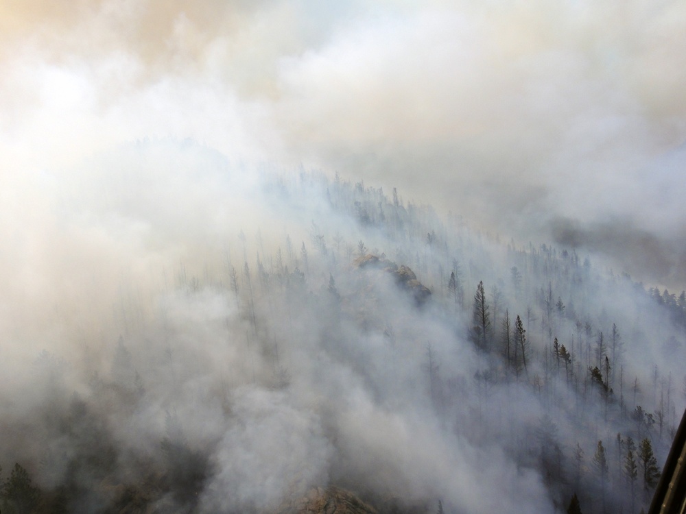High Park fire
