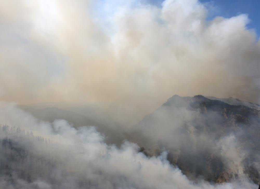 High Park fire