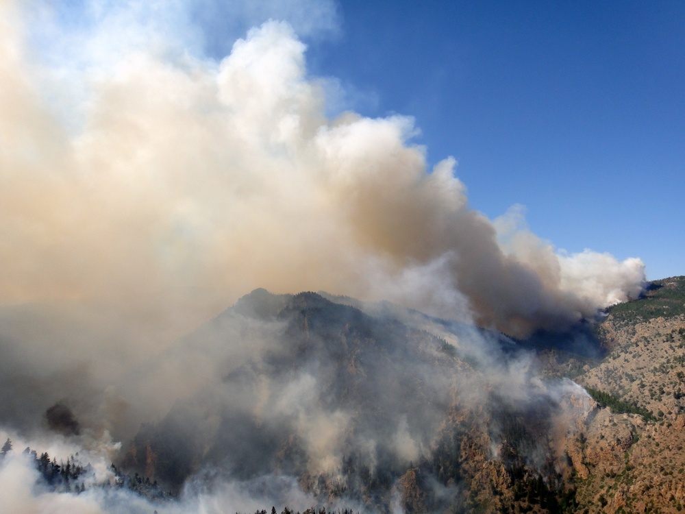 High Park fire