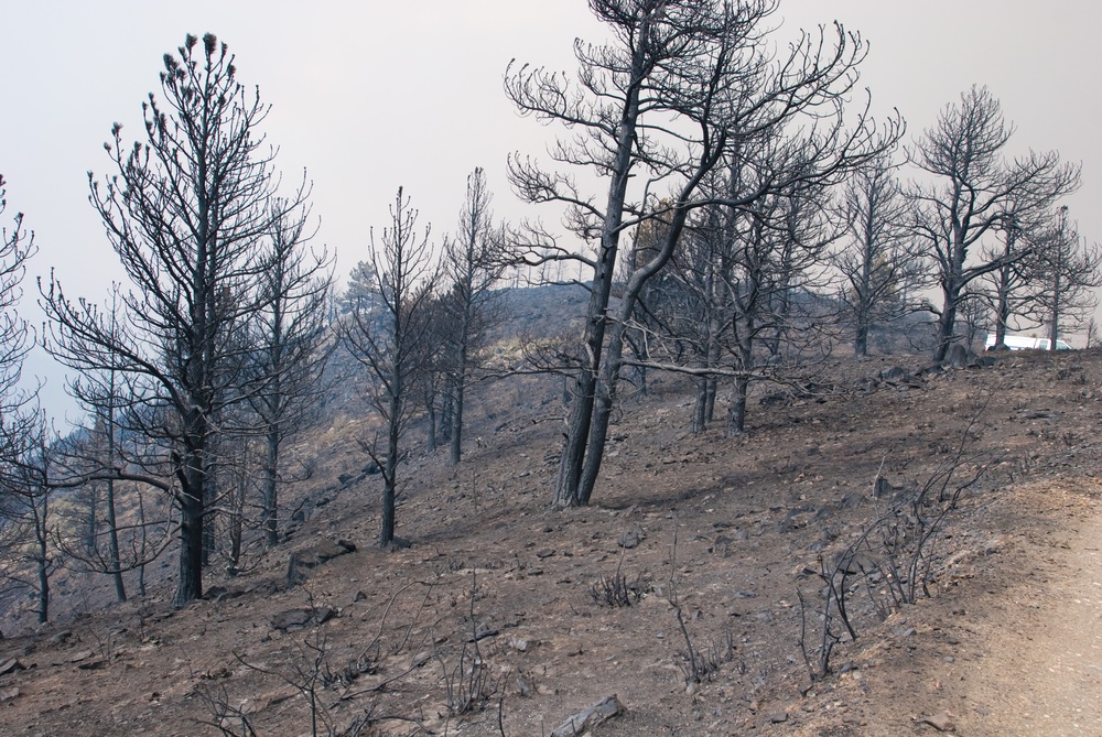 Colorado High Park Fire