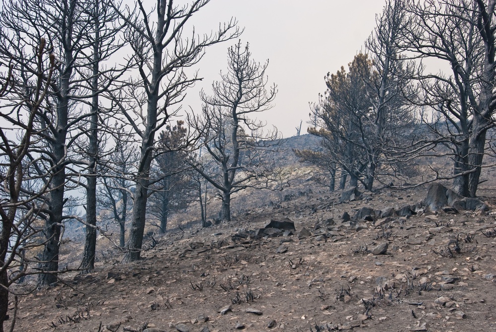 Colorado High Park Fire