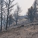 Colorado High Park Fire