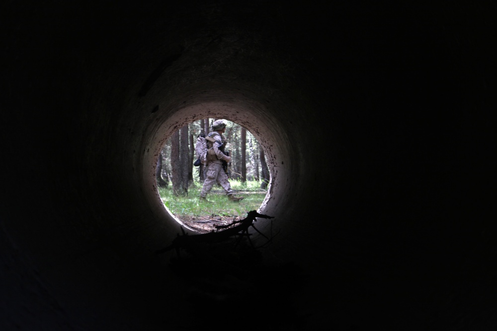 Saber Strike 2012