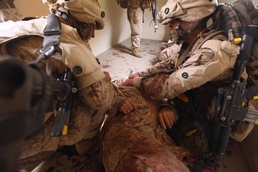 FMTB-West immerses into hyper realistic training