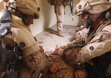 FMTB-West immerses into hyper realistic training