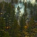 Colorado High Park fire