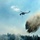 Colorado High Park fire