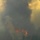 Colorado High Park fire