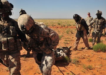 DAGRE: Close quarter combat training