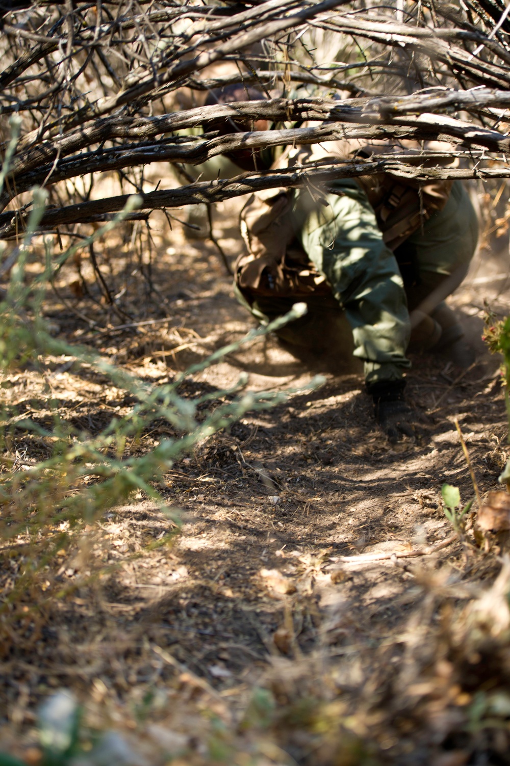 Exercise GLOBAL MEDIC 2012 / Warrior Exercise 91 12-01