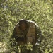 Exercise GLOBAL MEDIC 2012 / Warrior Exercise 91 12-01