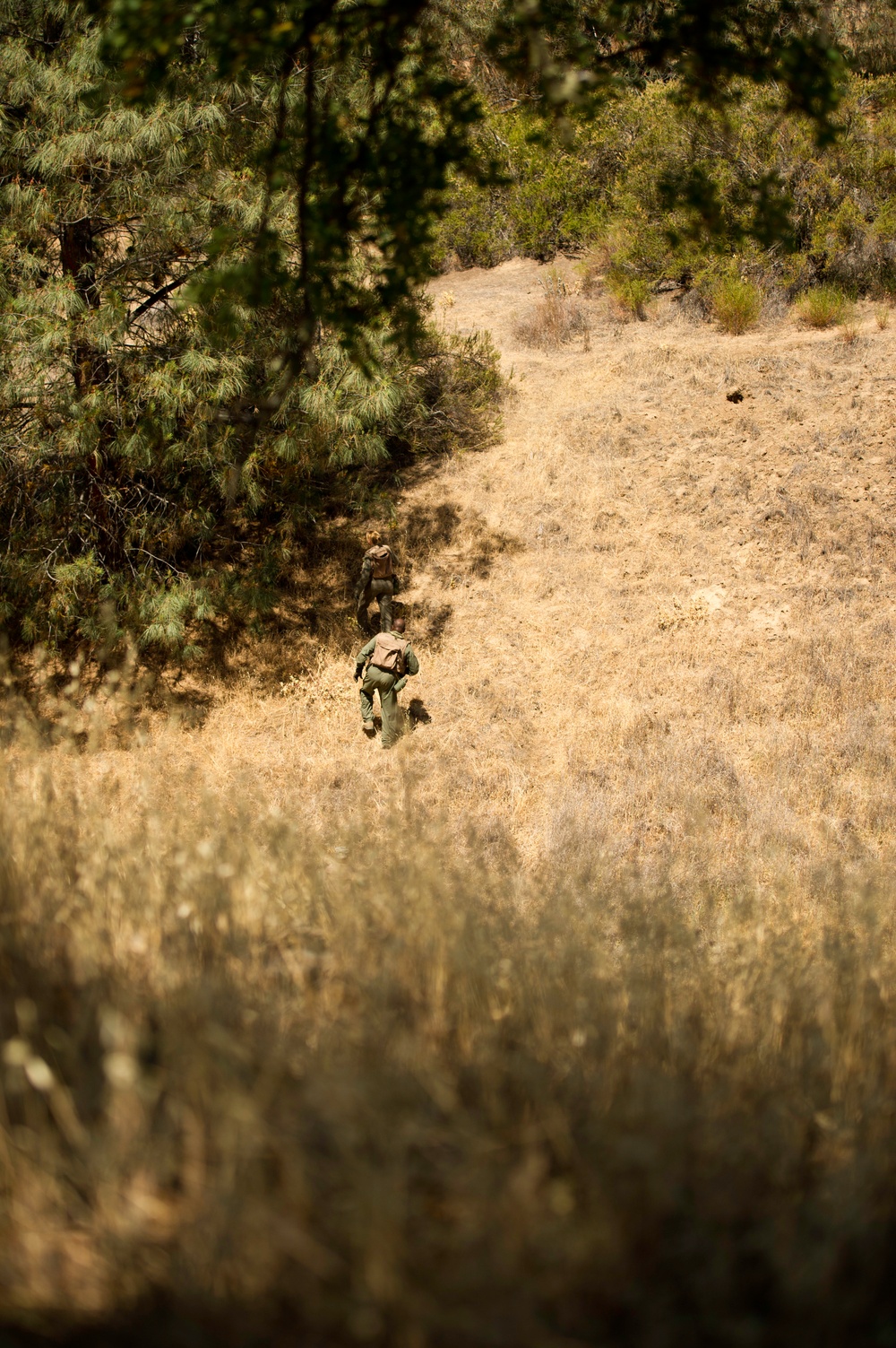 Exercise GLOBAL MEDIC 2012 / Warrior Exercise 91 12-01