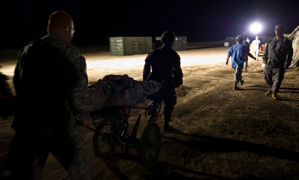 Exercise GLOBAL MEDIC 2012 / Warrior Exercise 91 12-01