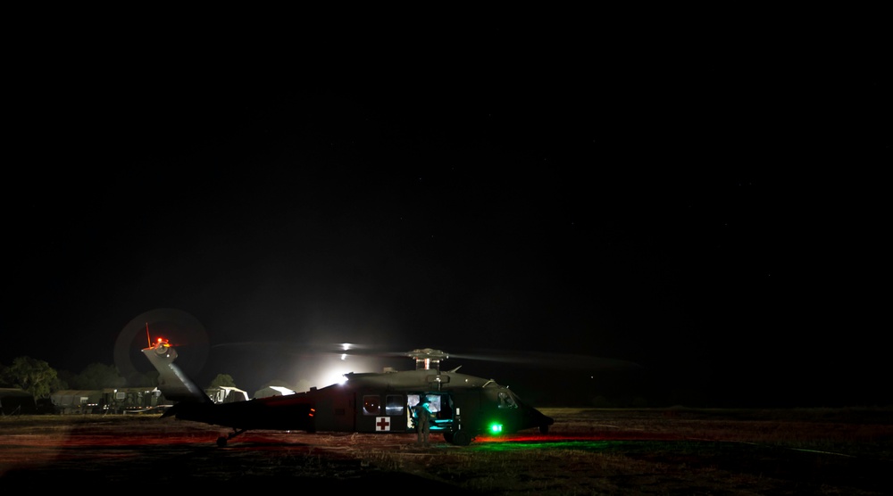 Exercise GLOBAL MEDIC 2012 / Warrior Exercise 91 12-01