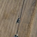 Utah Army National Guard performing static line jumps from Black Hawks