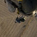 Utah Army National Guard performing static line jumps from Black Hawks