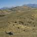 Utah Army National Guard performing static line jumps from Black Hawks