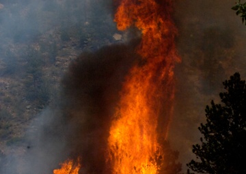 High Park fire