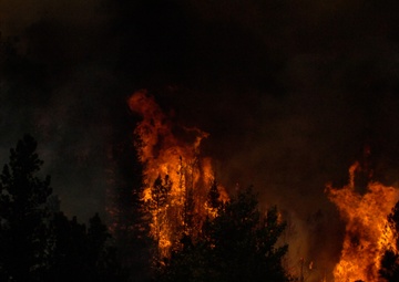 High Park fire