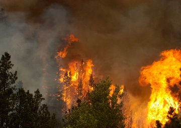 High Park fire