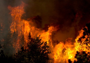 High Park fire