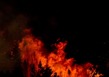 High Park fire