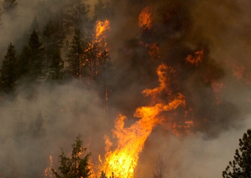 High Park fire