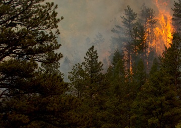 High Park fire