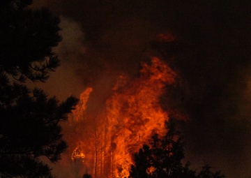 High Park fire