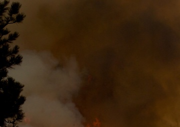High Park fire