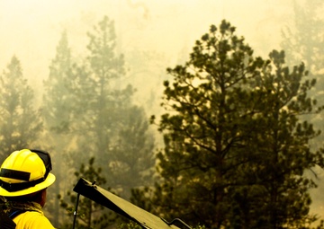 High Park fire