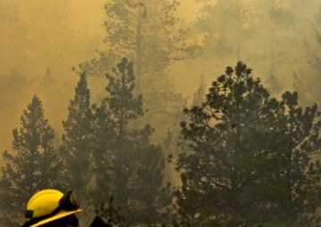High Park fire