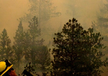 High Park fire