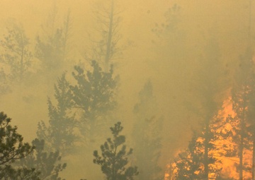 High Park fire