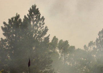 High Park fire