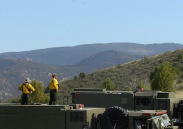 High Park fire
