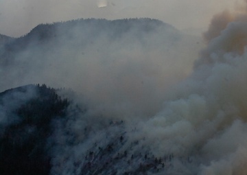 High Park fire