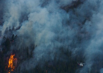 High Park fire