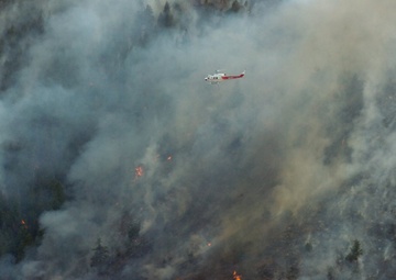 High Park fire