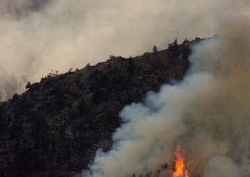 High Park fire