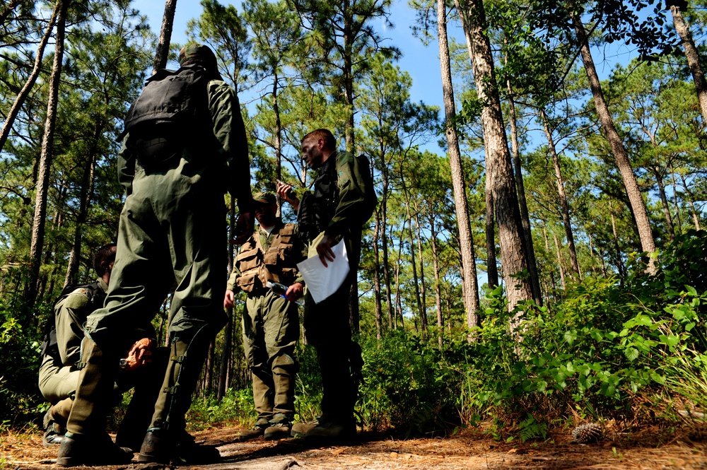 Combat Skills Training