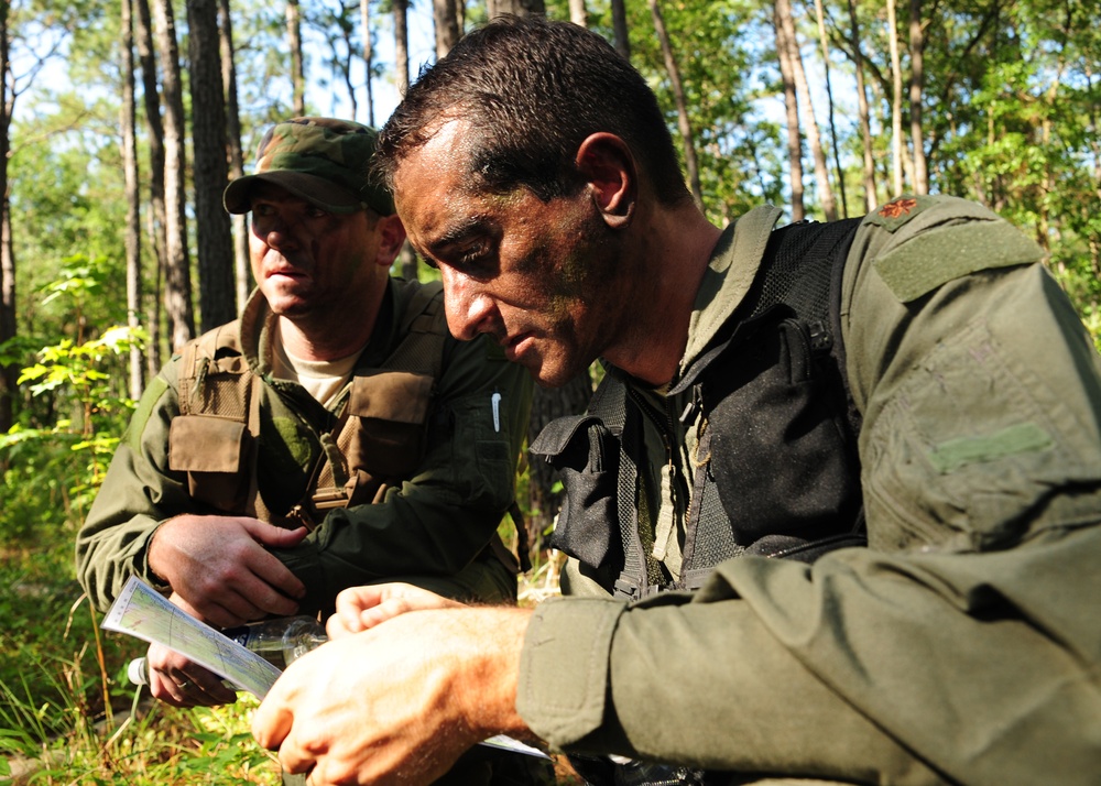 Combat Skills Training