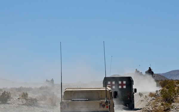 Amphibious Platoon trains in rough terrain