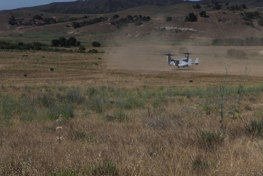 VMM-166 helps biologists survey new landing sites